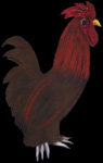 Dave The Chicken