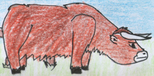 Mutle Cow