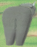 Norman