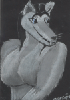 LUPA