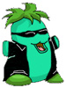 Neopets
