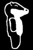 Badger