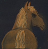 Back End of a Horse